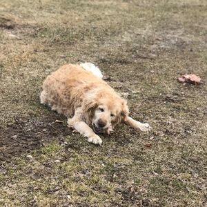 Meet your Posher, Lily